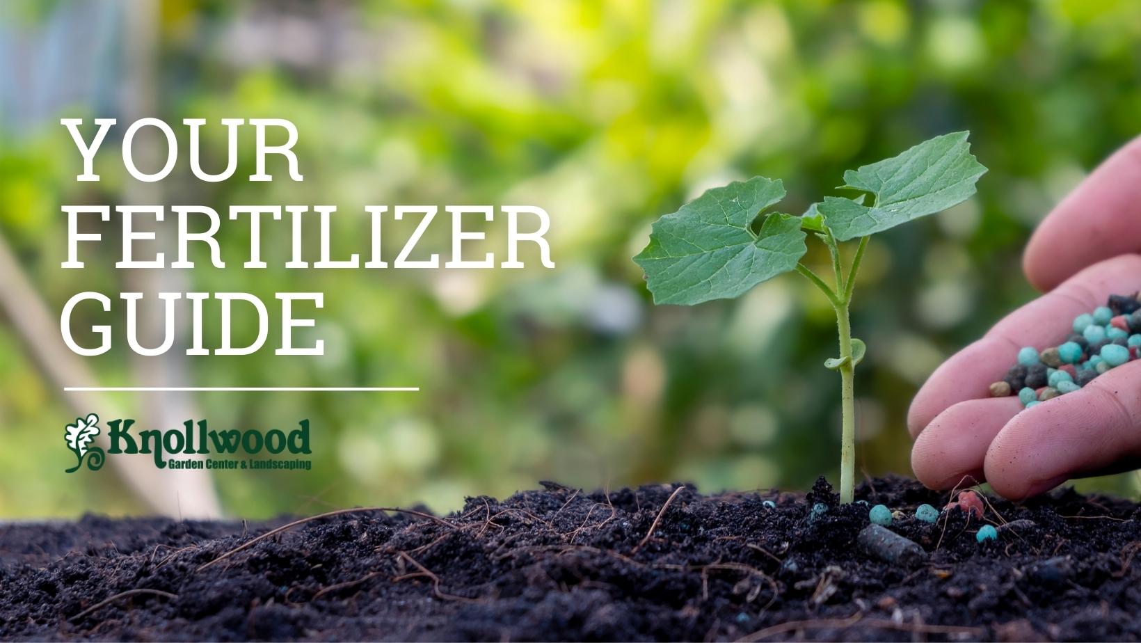 A hand sprinkles fertilizer on soil. 